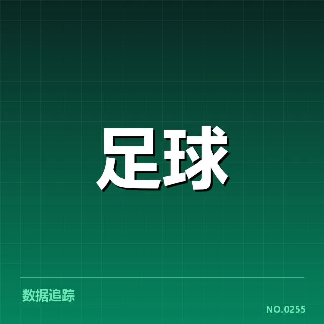 纽卡斯尔联阵容磨合挑战：球队战绩波动原因